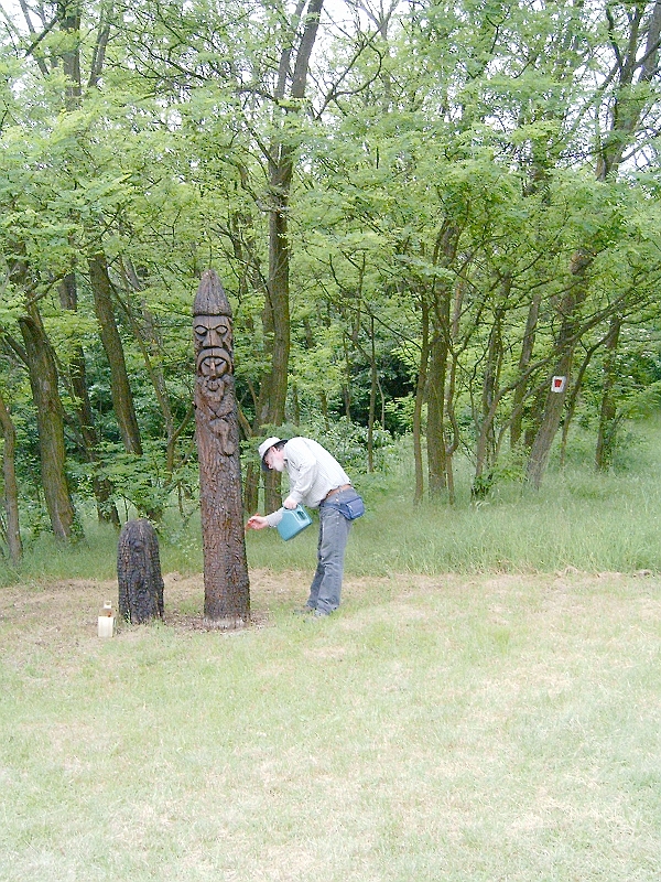 20100529 007.jpg